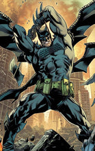 Load image into Gallery viewer, ABSOLUTE BATMAN #25 (10 COVER PACK) 🌙🤮 RELEASE 10/28/26
