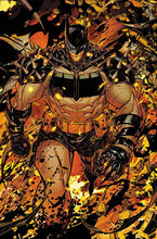 Load image into Gallery viewer, ABSOLUTE BATMAN #25 (10 COVER PACK) 🌙🤮 RELEASE 10/28/26
